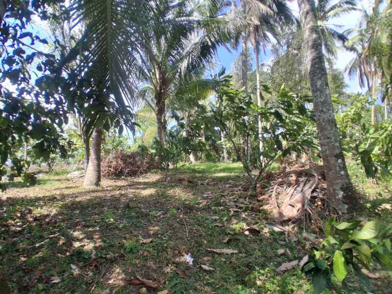 dijual tanah berlokasi di lumbung lokasi strategis