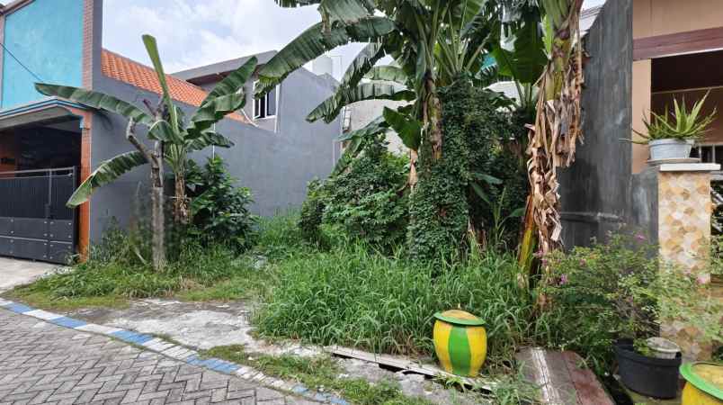 dijual tanah bogangin karangpilang