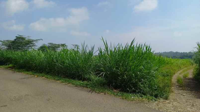 dijual tanah darangdan