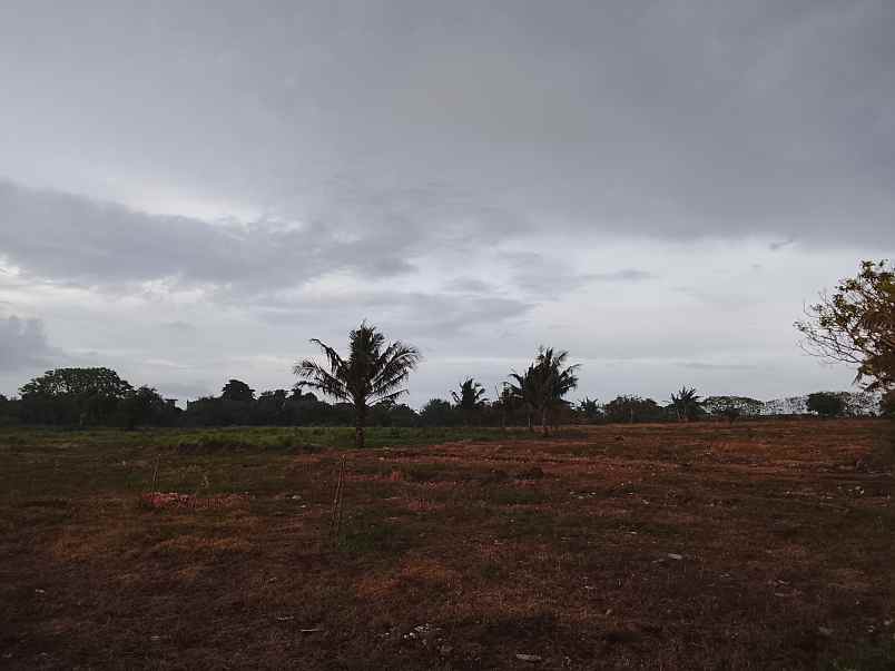 dijual tanah dekat pantai dan kampung