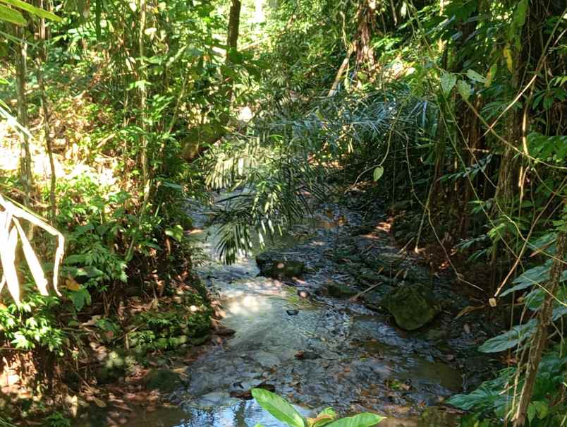 dijual tanah desa angkah selemadeg