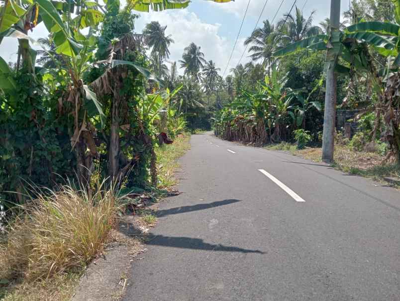 dijual tanah desa lalanglinggah