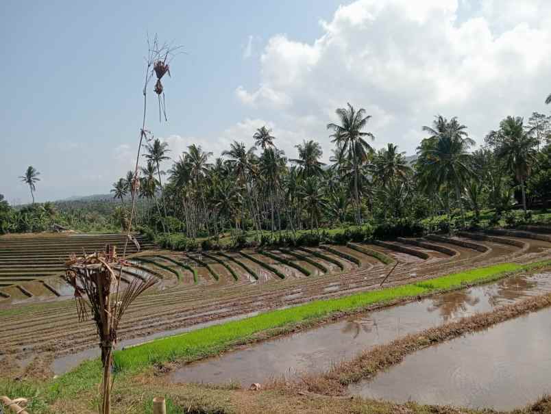 dijual tanah desa lalanglinggah
