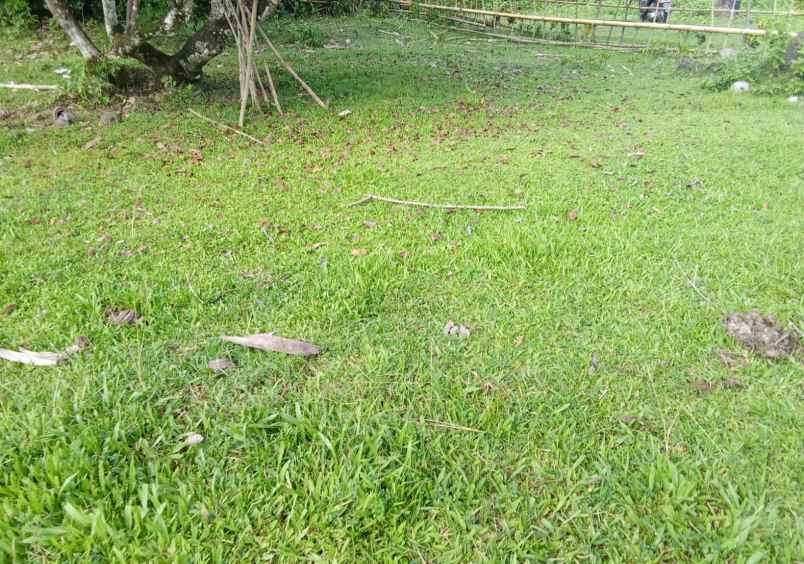 dijual tanah desa lumbung selemadeg