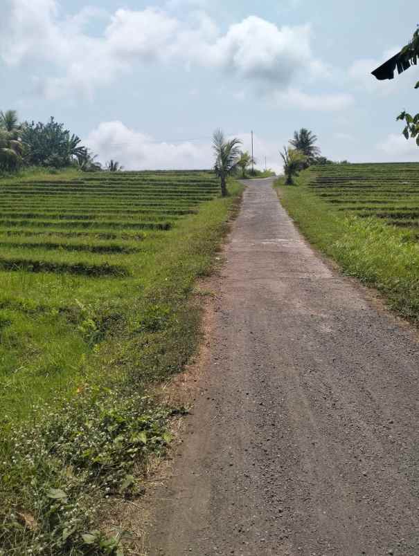 dijual tanah desa lumbung selemadeg