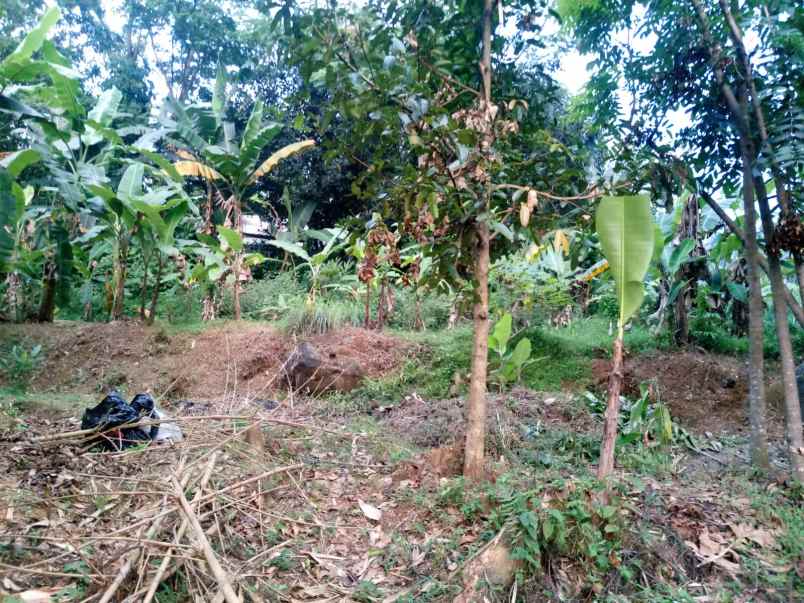 dijual tanah desa nagrak sukaraja