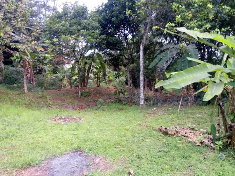 dijual tanah desa nagrak sukaraja