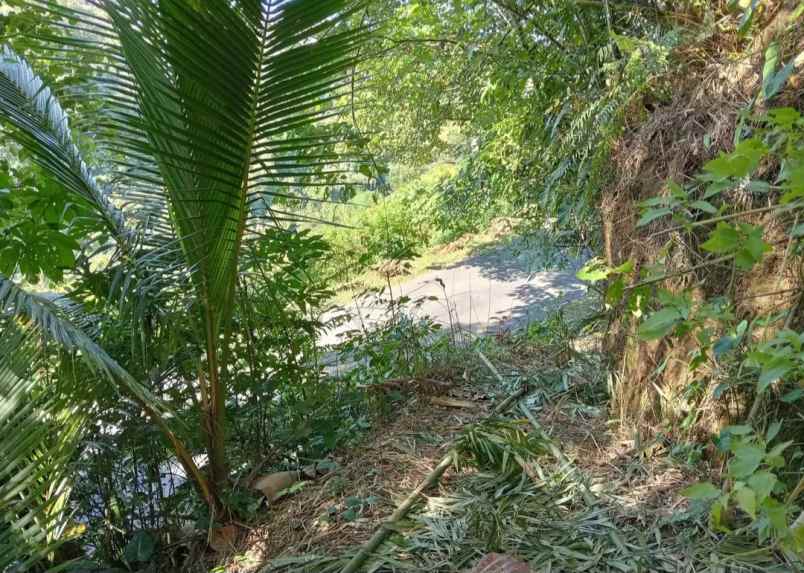 dijual tanah desa sanda kec pupuan kab
