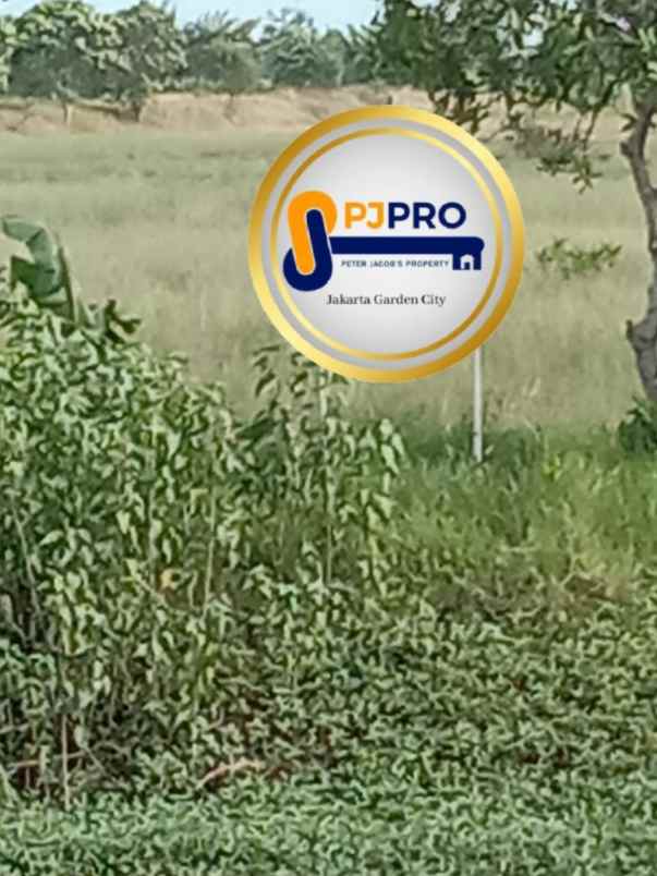 dijual tanah desa sukaringin