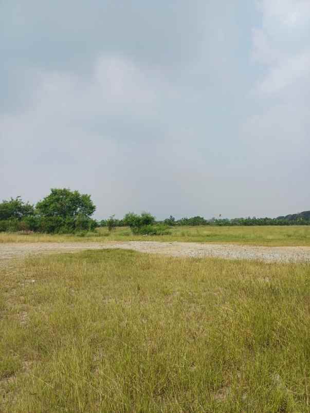 dijual tanah desa sukaringin