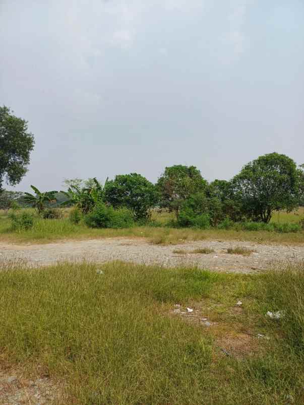dijual tanah desa sukaringin