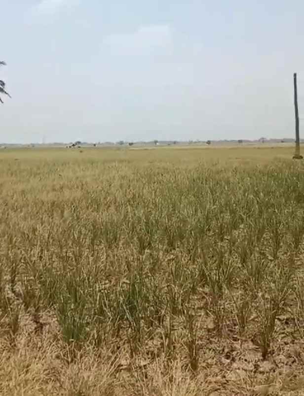 dijual tanah desa sukatenang