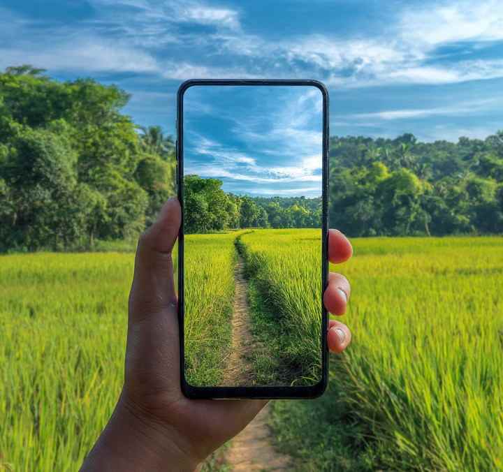 dijual tanah dijual tanah di ds karang