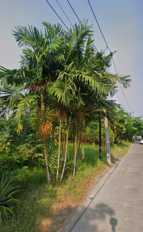 dijual tanah jalan raya bumi anggrek