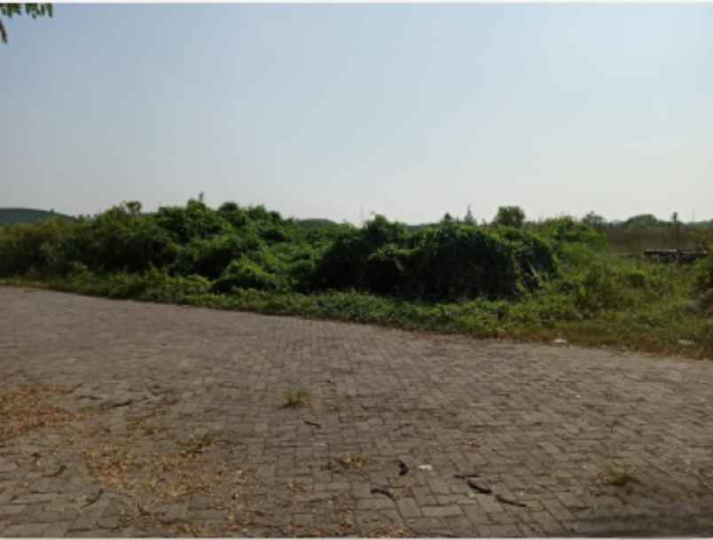 dijual tanah jalan raya manyar beta