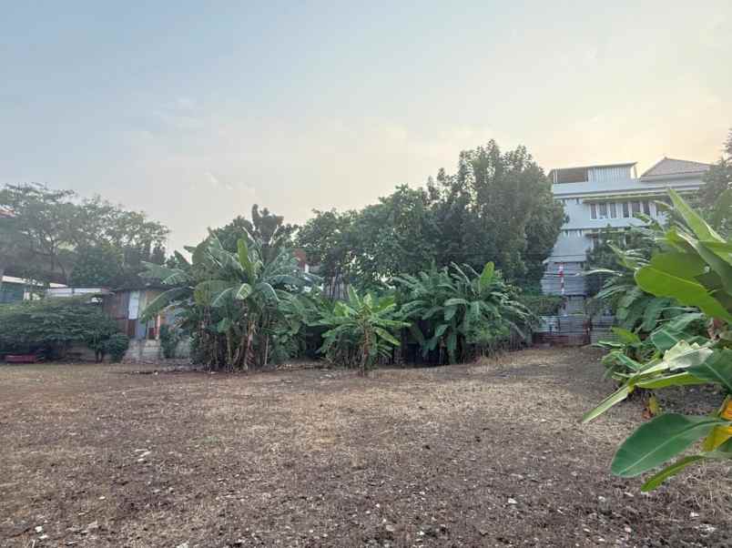 dijual tanah jalan walter mongonsidi