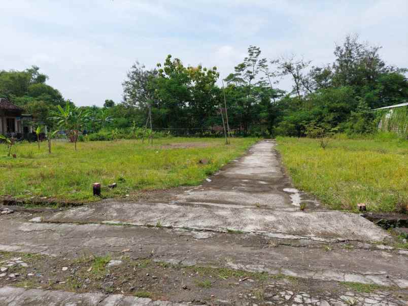 dijual tanah jetis kalioso nogosoari