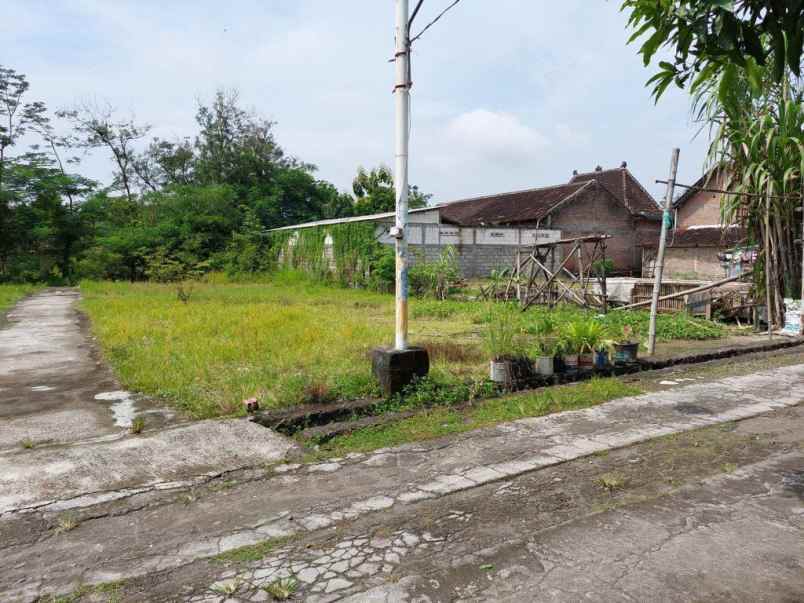 dijual tanah jetis kalioso nogosoari