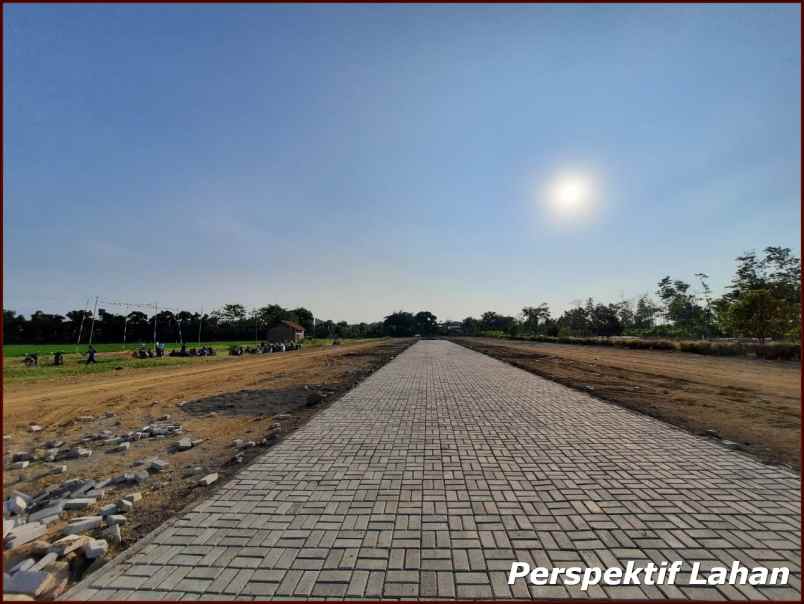 dijual tanah jl cemoro mulyo area sawah