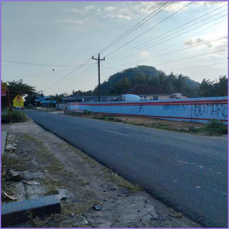 dijual tanah jl cemoro mulyo area sawah