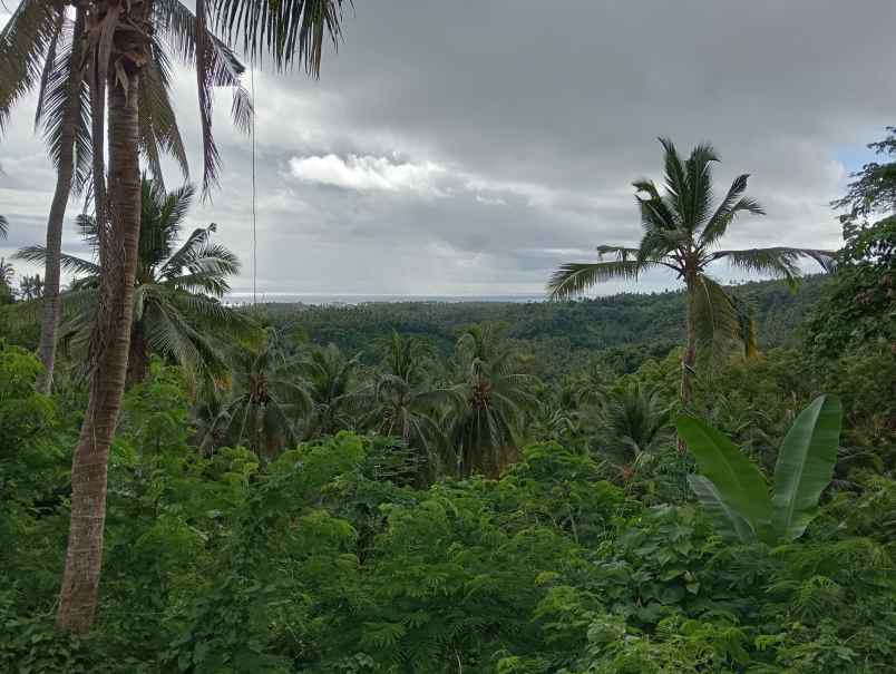 dijual tanah kebun dekat pantai murah tempat strategis