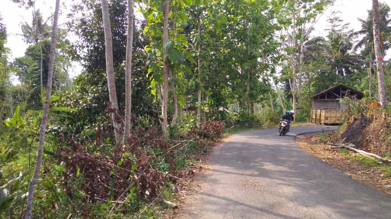 dijual tanah kebun produktif pinggir jalan raya