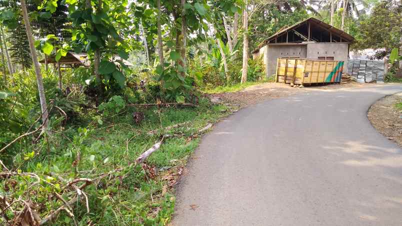 dijual tanah kebun produktif pinggir jalan raya