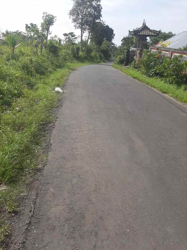 dijual tanah kintamani bangli bali
