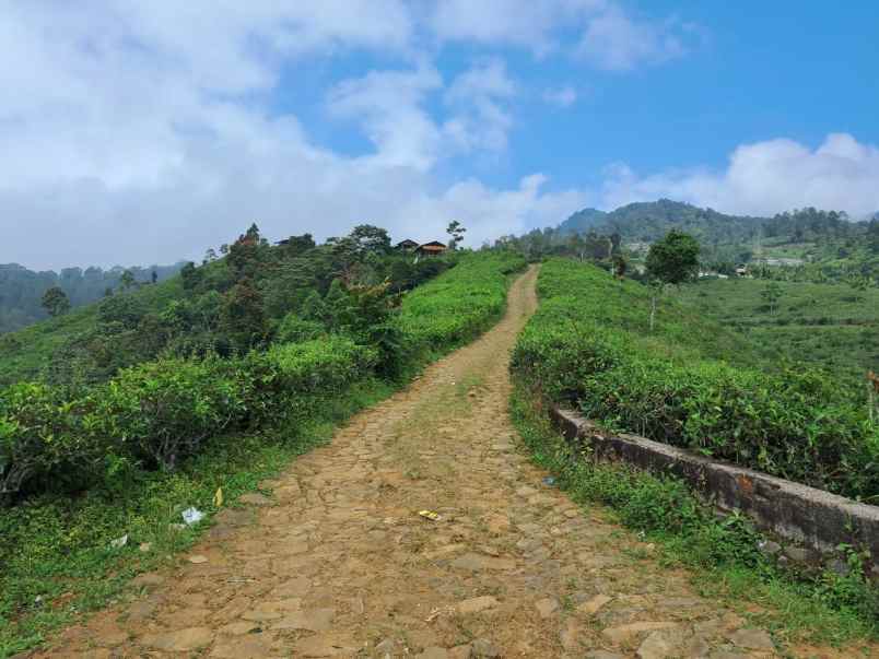 dijual tanah majalengka