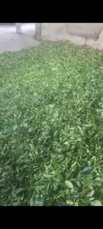 dijual tanah majalengka