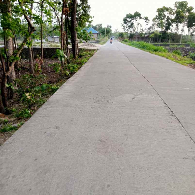 dijual tanah mojopuro sumberlawang sragen