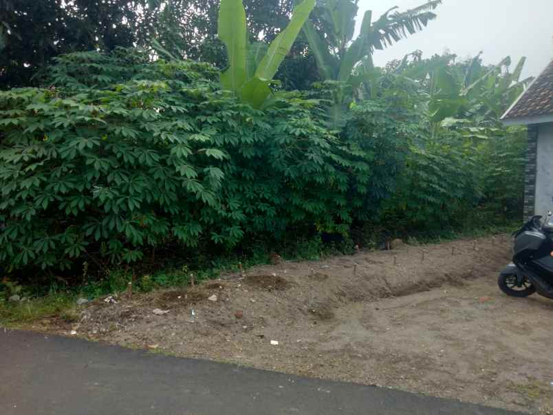 dijual tanah murah lingkungan penduduj