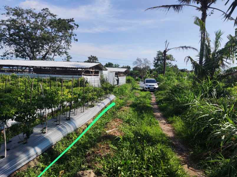 dijual tanah ngebo sukoharjo kec