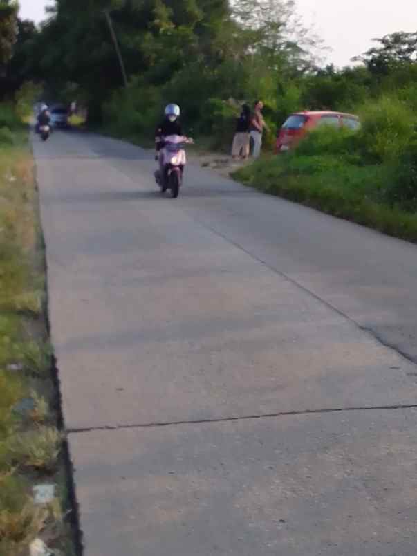 dijual tanah pabuaran