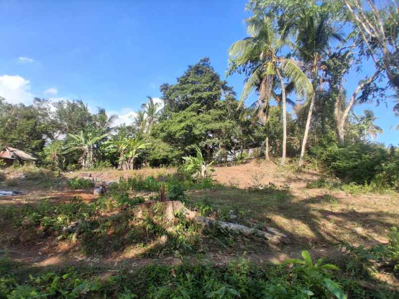 dijual tanah pantai balian selemadeg