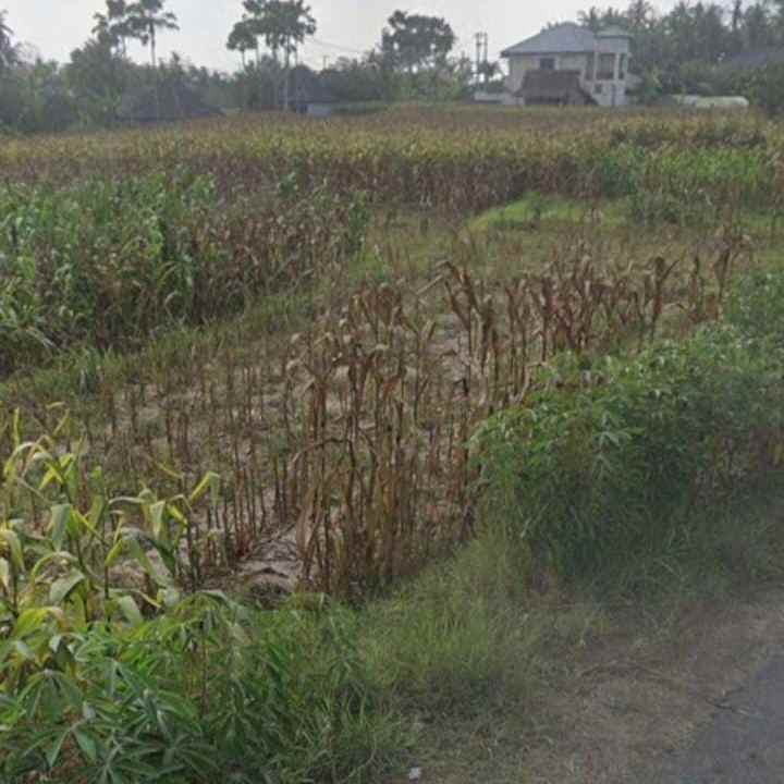 dijual tanah pantai pasut