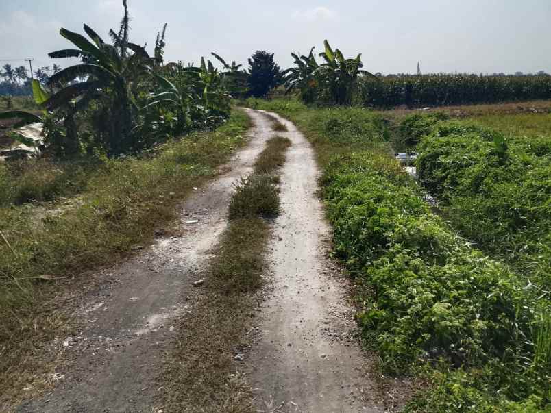 dijual tanah pasut tabanan