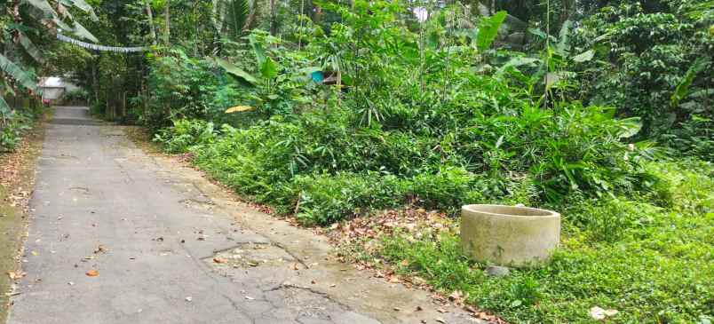 dijual tanah pekarangan galurung kemalang