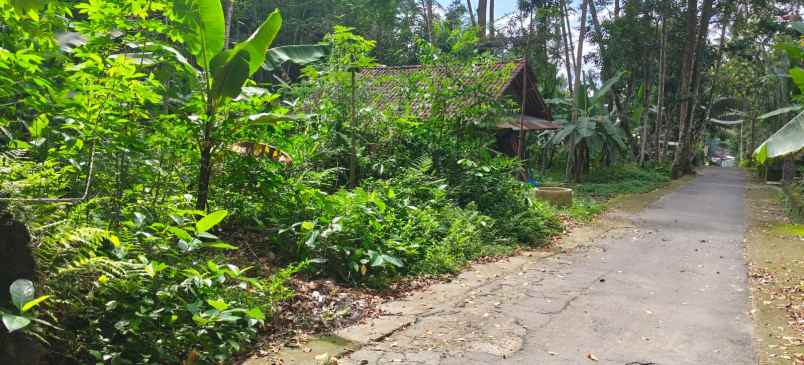 dijual tanah pekarangan galurung kemalang