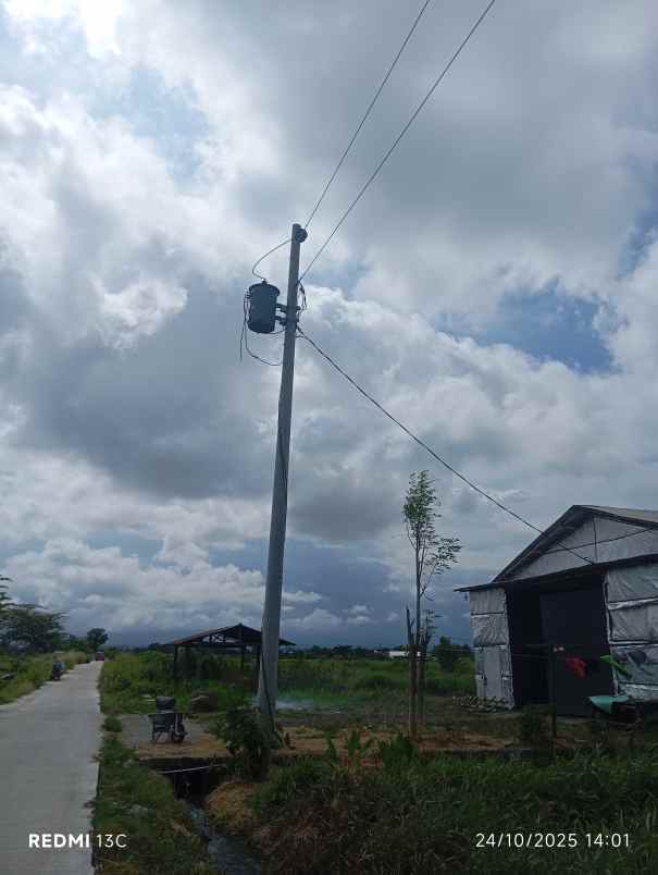 dijual tanah peternakan 1700m2 polanharjo klaten 350jt