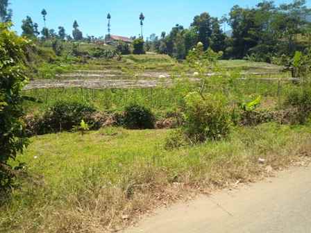 dijual tanah pinggir jalan cipare
