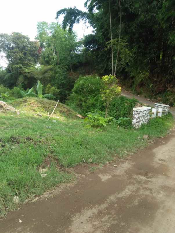 dijual tanah pinggir jalan cipare