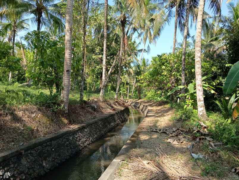 dijual tanah pinggir jalan hotmix dekat pantai balian