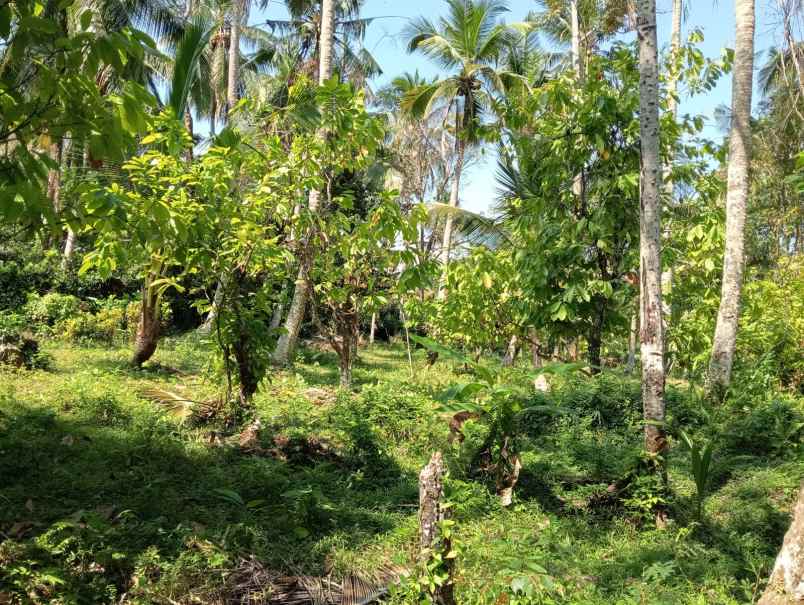 dijual tanah pinggir jalan hotmix dekat pantai balian