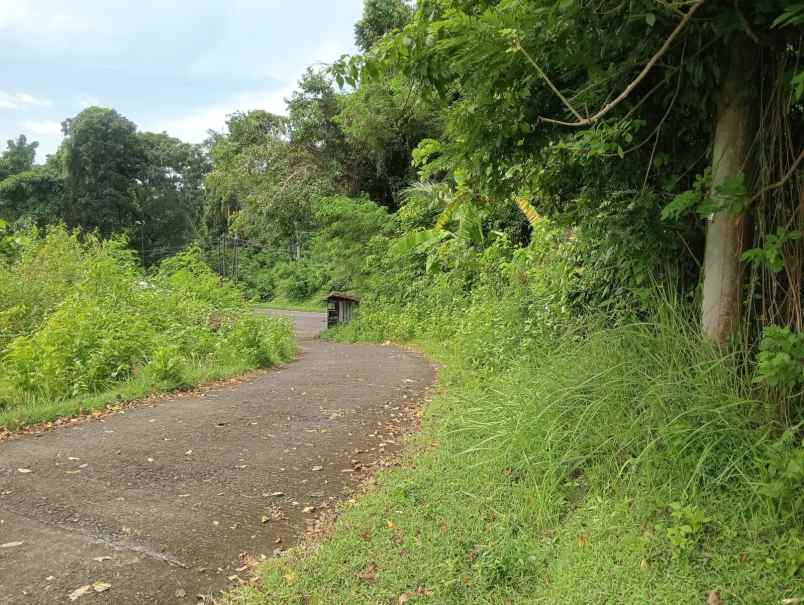 dijual tanah pinggir jalan nasional