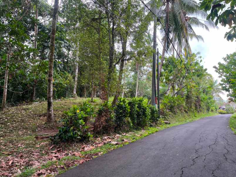 dijual tanah pinggir jalan nasional