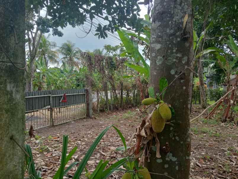 dijual tanah pinggir jalan nasional
