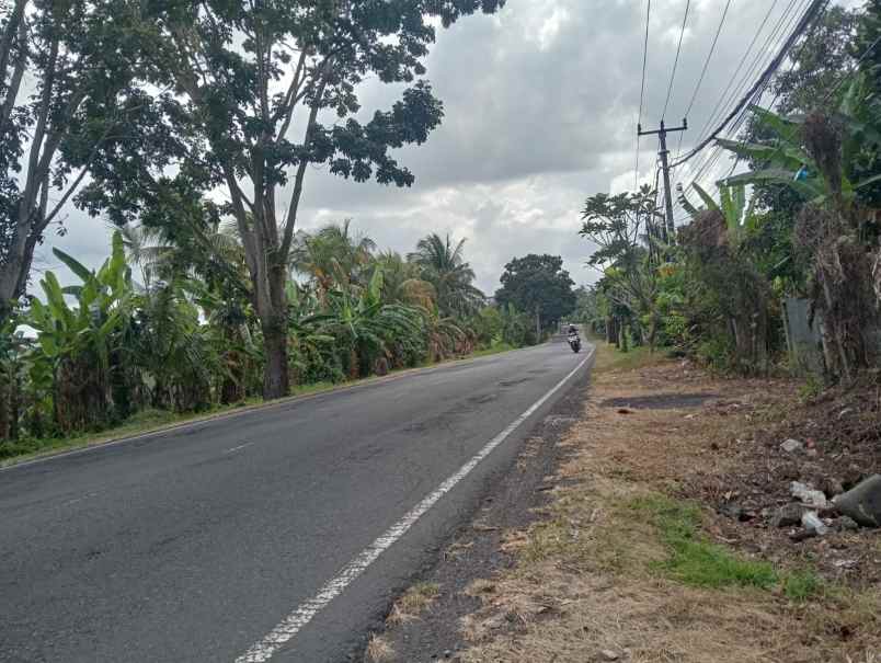 dijual tanah pinggir jalan nasional