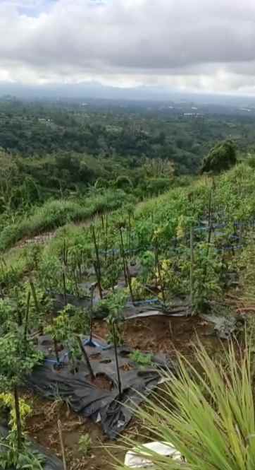 dijual tanah pinggir jalan raya