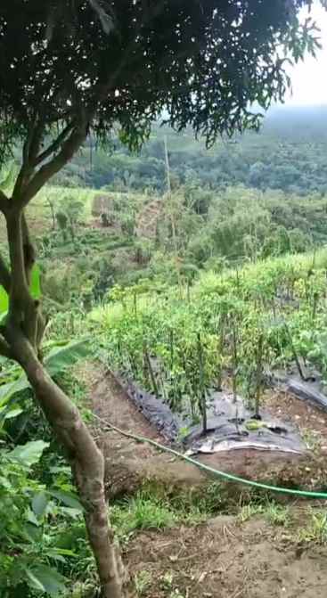 dijual tanah pinggir jalan raya